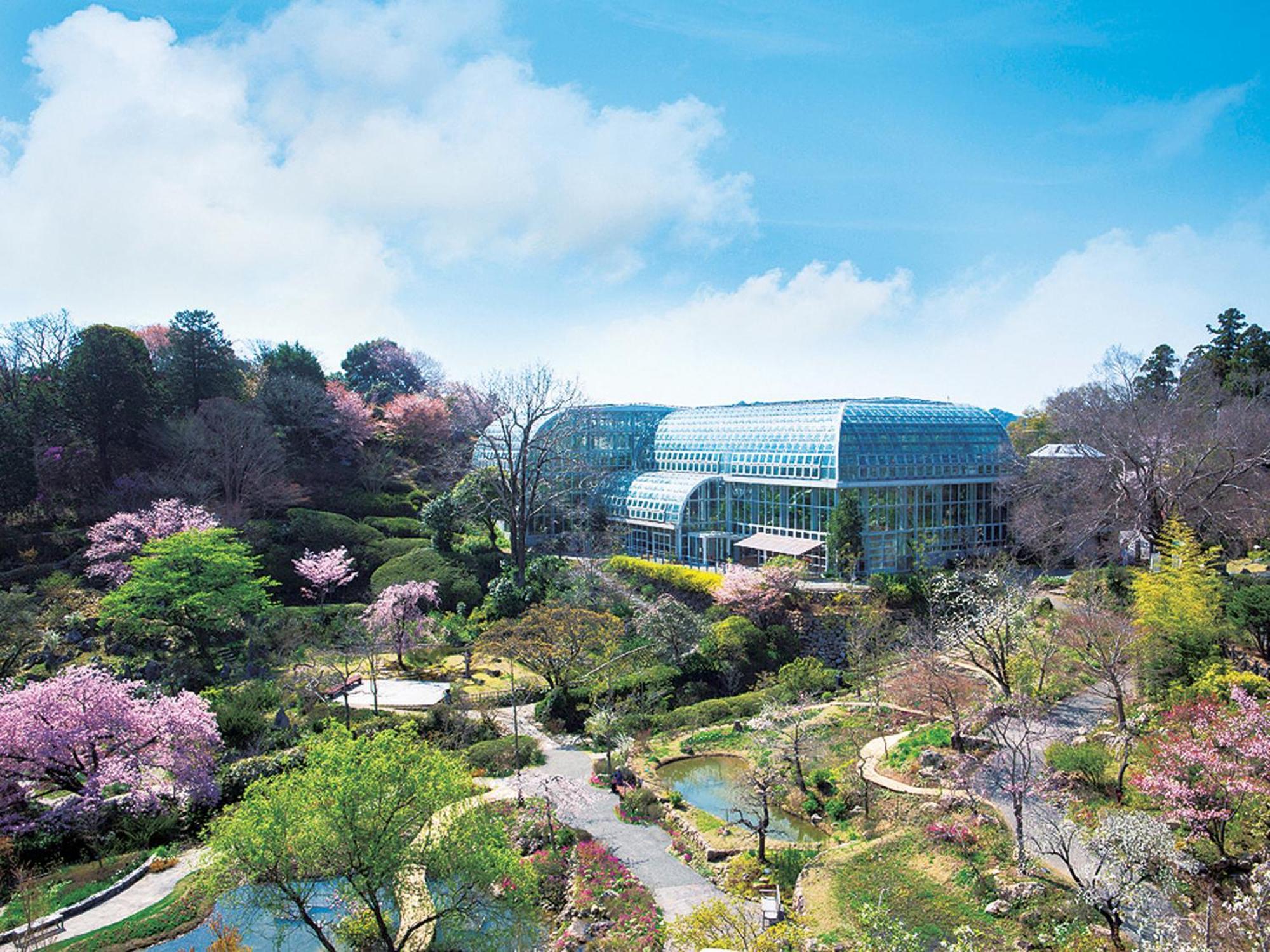 The Crown Palais New Hankyu Kochi Exteriér fotografie